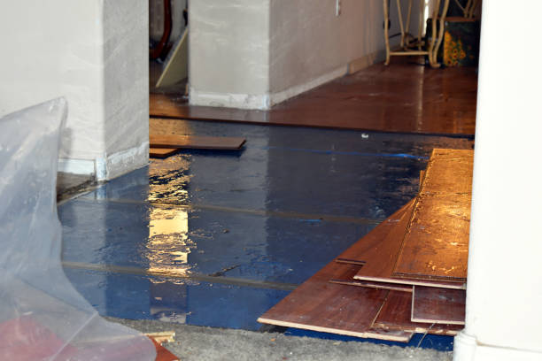 Professional Burst Pipe Cleanup technician working in Iron Station, NC